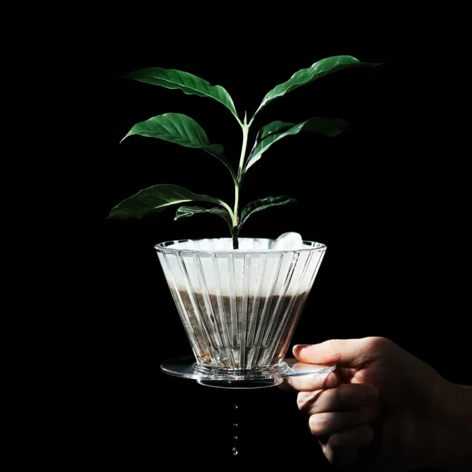 MHW-3BOMBER Oval Dripper for Pour Over Coffee